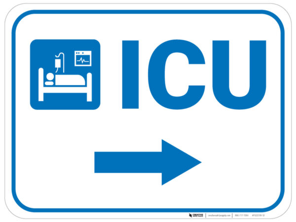 Septic Shock in the Emergency and Critical Care Setting: A Review of Clinical Challenges and Outcomes